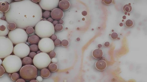 Amazing white and copper bubbles of paint on the oil surface. Paint in oil. Stock Footage 105190686