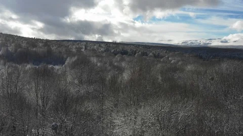 Amazing winter forest: the camera moves directly above the branches in hoarfrost Stock Footage 116786540