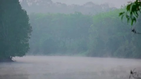 Amazing Winter Landscape. Stock Footage 246526963