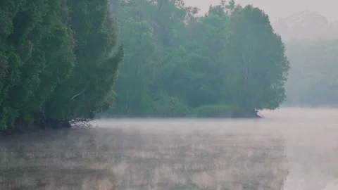 Amazing Winter Landscape Stock Footage 246526981