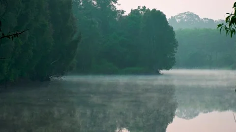 Amazing Winter Landscape Stock Footage 246526982