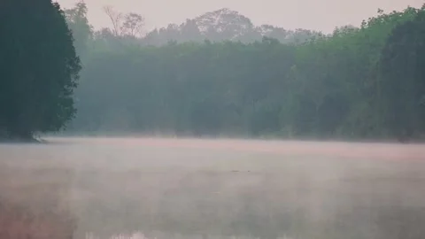 Amazing Winter Landscape Stock Footage 246526984