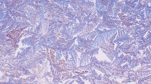 Amazing winter patterns on the window. The radiance and flickering of light Stock Footage 122257447