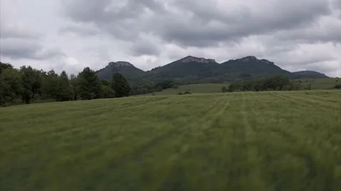 Amazingly beautiful endless fields of green grass go far to the horizon. Fresh Stock Footage 138838353