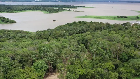 AMAZON 2 Stock Footage 122340507