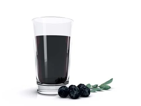 The amazon acai fruit. Stock Illustration