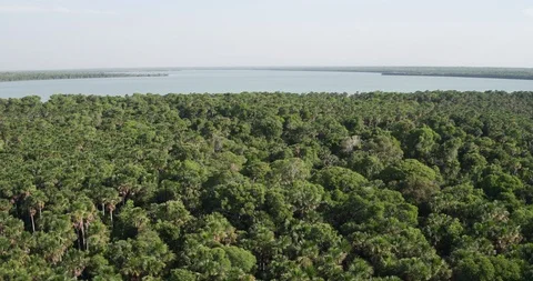 Amazon Aerial Panorama of Amazon River and Rainforest Video stock 114194548