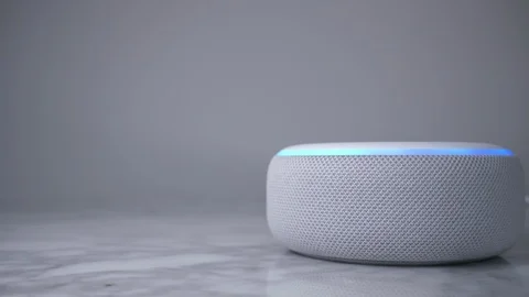 Amazon Alexa Smart Home Device Voice Command. Stock Footage 107071700