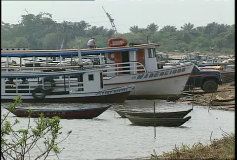 Amazon Boats on Shore Trees in Background Stock Footage 11499738