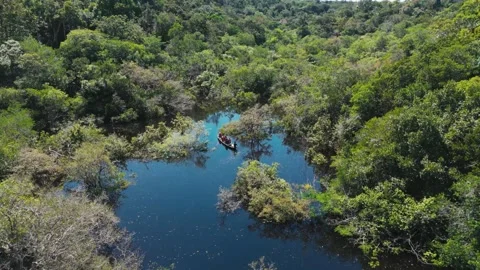 Amazon Canoe Surrounded by Igapós and River Wilderness Stock Footage 322114768