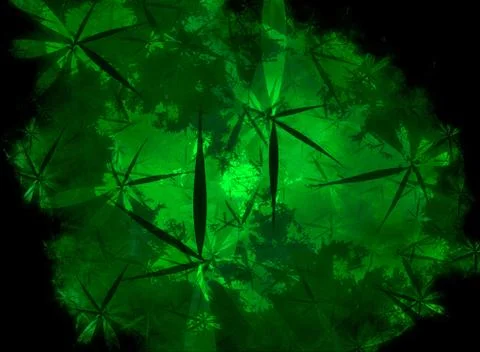 Amazon Canopy Stockillustratie