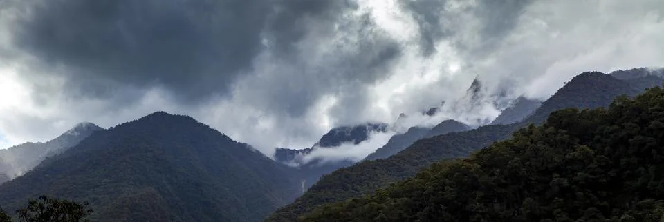 Amazon Cloud Forest in Peru, panoramic view Stock Photos