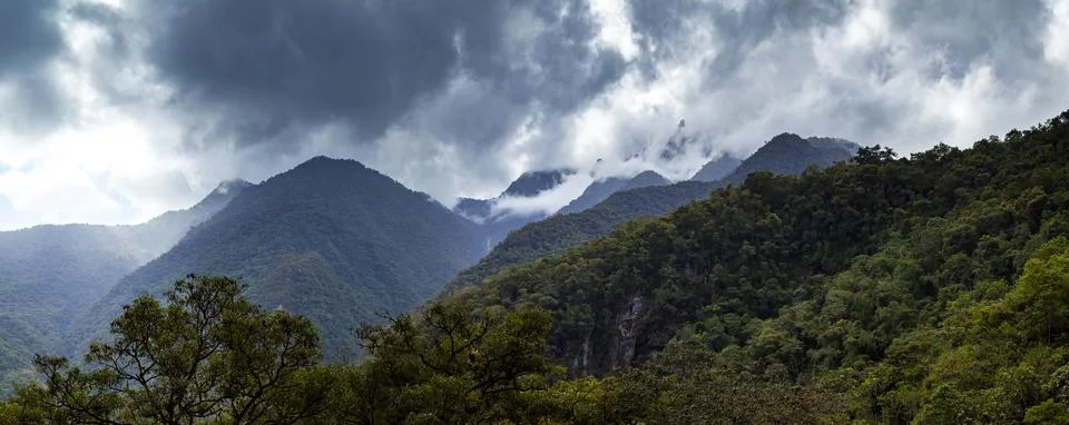 Amazon Cloud Forest in Peru, panoramic view Stock Photos
