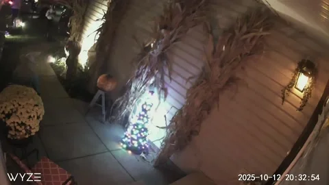 Amazon Delivery Driver Spooked By Halloween Decorations, Miamisburg, Ohio, USA - Stock Footage 321155441
