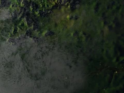 Amazon delta on Earth - visible ocean floor Stock Illustration