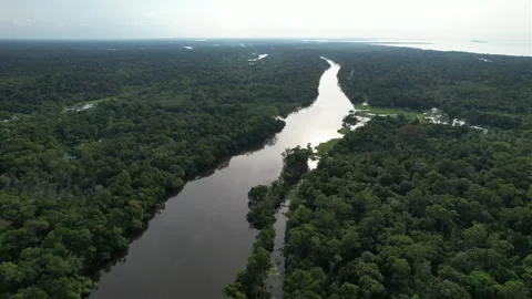 Amazon Drone Shot Stock Footage 260402140
