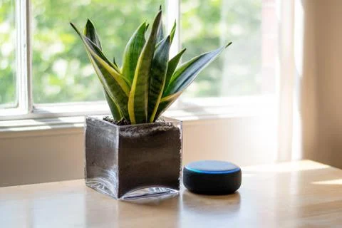 Amazon Echo Dot and Alexa at home Stock Photos
