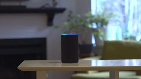 Amazon Echo Stock Footage 102192334