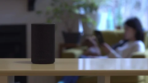 Amazon Echo Stock Footage 102194326