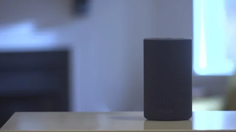 Amazon Echo in use Stock Footage 102191728