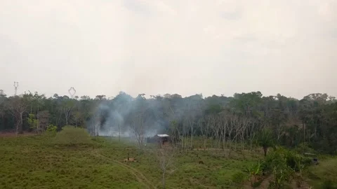 Amazon fire - Deforestation In Amazonia 2020 - Pack of imagens - drone Stock Footage 142703023