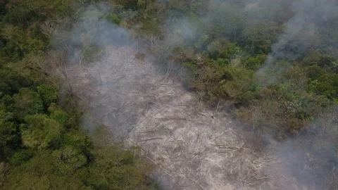 Amazon fire - Deforestation In Amazonia 2020 - Pack of imagens - drone Stock Footage 145423929