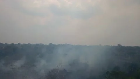 Amazon Fire Deforestation In Amazonia -  Smoke Drone 2020 Brazil - Pack Imagens Stock Footage 142703313