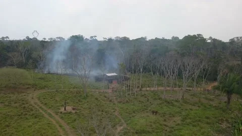 Amazon Fire Deforestation In Amazonia -  Smoke Drone 2020 Brazil - Pack Imagens Stock Footage 145423829