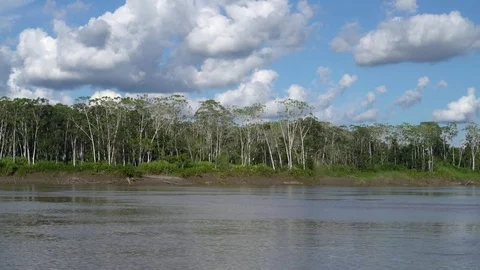 On the Amazon Video stock 73277846