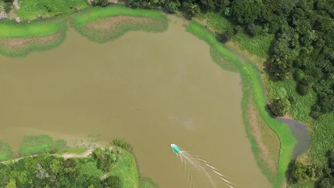 AMAZON Stock Footage 122340323