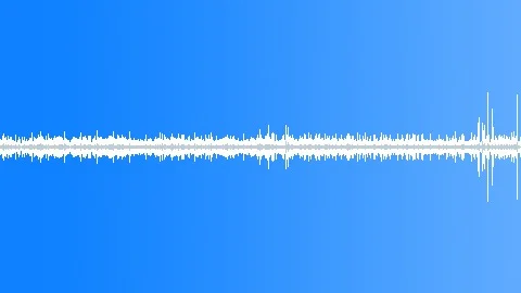 Amazon forest ambience, morning dawn, Cuyabeno reserve Ecuador Sound Effect