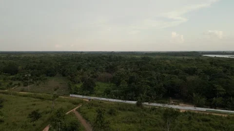 Amazon Forest and Plantage Stock Footage 309356287