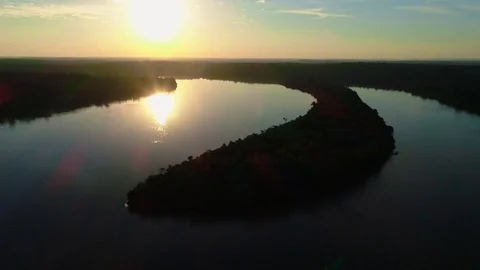 Amazon Forest Stock Footage 121430671