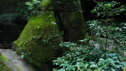 Amazon forest Lost Tribe Video stock 113735543