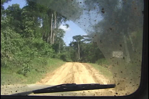 Amazon forest road Stock Footage 24236005