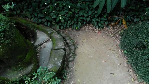 Amazon Forest Tribes Video stock 113735583