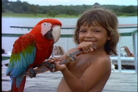 Amazon Jungle, 1998, young indigenous Brazilian girl holding a parrot Video stock 833062