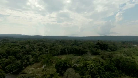 AMAZON JUNGLE 6 Stock Footage 159608995