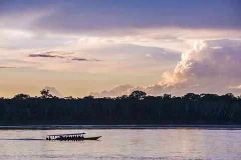 Amazon Jungle boat trip at sunset, Tambopata National Reserve, Peru, South Stock Photos