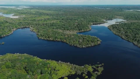 Amazon Jungle Canopy and River from Above Stock Footage 322130659