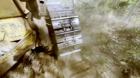 Amazon Jungle Devastation Caused by Heavy Tracked Vehicle Movement Vidéo 339909675