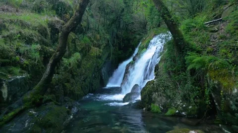 Amazon Jungle With Falls Over Moss-Covered Boulders Vídeos de archivo 276283965