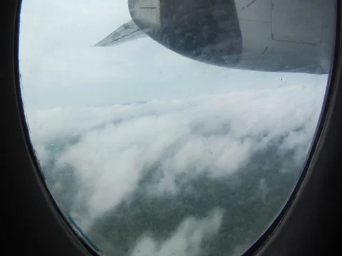 Amazon Jungle Rainforest Seen Through a Plane Window Stock Footage 112942023