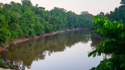 Amazon Jungle River Stock Photos