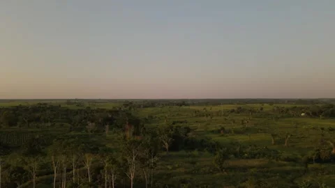 Amazon Landscape Sunset Areal 動画素材 309357883