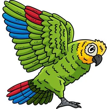 Amazon Parrot Bird Cartoon Colored Clipart Stock Illustration