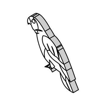 Amazon parrot bird isometric icon vector illustration 库存插图