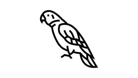 Amazon parrot bird line icon animation Stock Footage 326132998