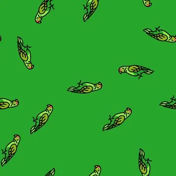 Amazon parrot bird vector seamless pattern 스톡 일러스트