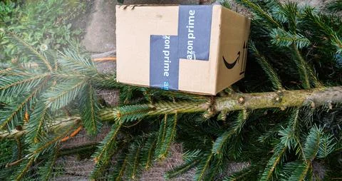 Amazon Prime package on cut evergreen tree......... Foto stock